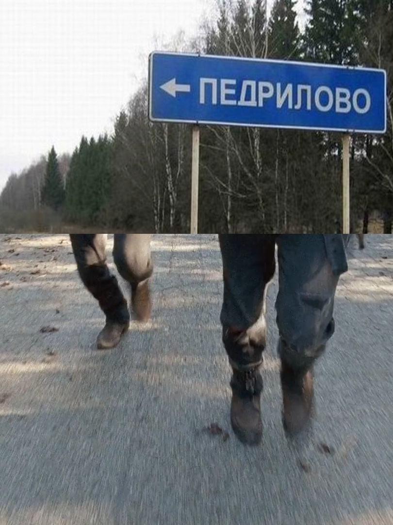 гиф можно скачать в моём тгк, ссылка в шапке профиля #thewalkingdead #rickgrimes #daryldixon