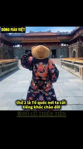 Cha Mẹ Và Tổ Quốc.  #dongmauviet 