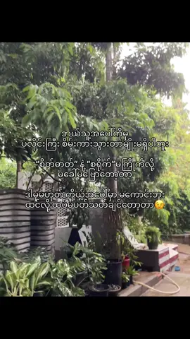 #foryou #foryou #fyppppppppppppppppppppppp #tiktok #views 