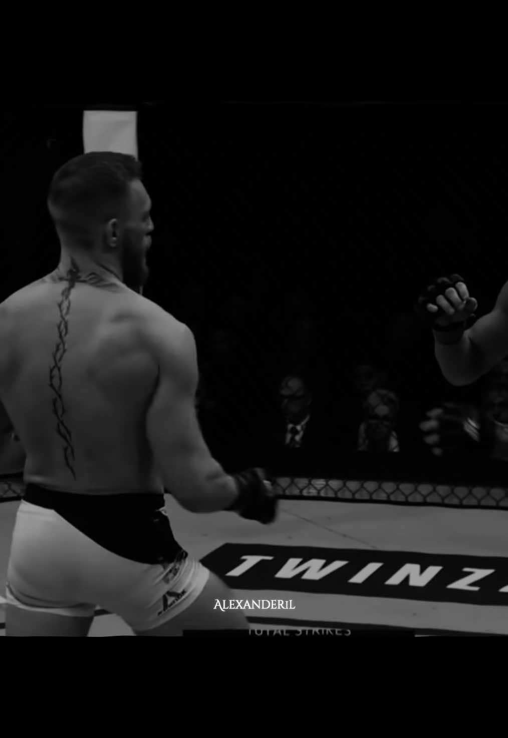 Conor McGregor 🇮🇪 ⚔️🩸#conormcgregor #conormcgregorufc #UFC #mmaedit #fyp 