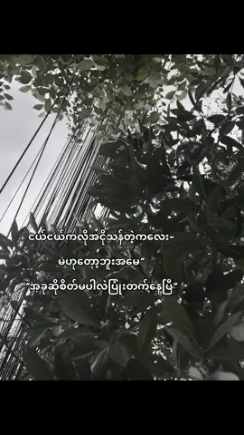 မပါလဲပြုံး#fyp #viral #စာတို #smile #tiktok #fyppppppppppppppppppppppp #foryoupage #crd #ရောက်ချင်တဲ့နေရာရောက်👌 #fypシ 