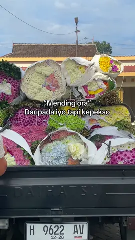 HALLO SAHABAT MITRA🌹 Masih bingung mau cari bunga fresh dimana?? ayo buruan di order!!! kami siap kirim ke seluruh wilayah lo….  Yang tentunya amanah, termurah dan terpercaya,  Soal kualitas “MITRA BUNGA” berani garansi untuk semua bunga yang dikirim  Ayo segera list dan dapatkan banyak bonusnya 📍bandungan semarang  📞 0882003503481 IG : mitrabungabandungan  #fyp #fypシ゚viral #fresflowers #bungadekorasi #bungapotongsegar #bandungansemarang #pasarbungabandungan #beranda #munculberanda 