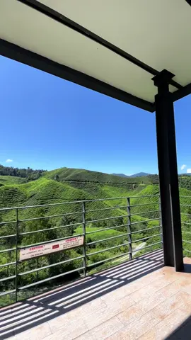 Love this view.⛰️🍃 #cameronhighland #boh #fyp #trending #viral #PlacesToVisit 