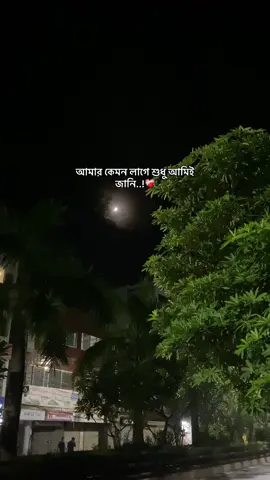 একটি লুকানো চাঁদ, হাসির মত আমি লুকাতে শিখেছি..!❤️‍🩹#caption #tiktokbangladesh #fyp #tiktokviral #froyoupage #tik @𝐒𝘰𝙝ɑ𝙣 🌗 