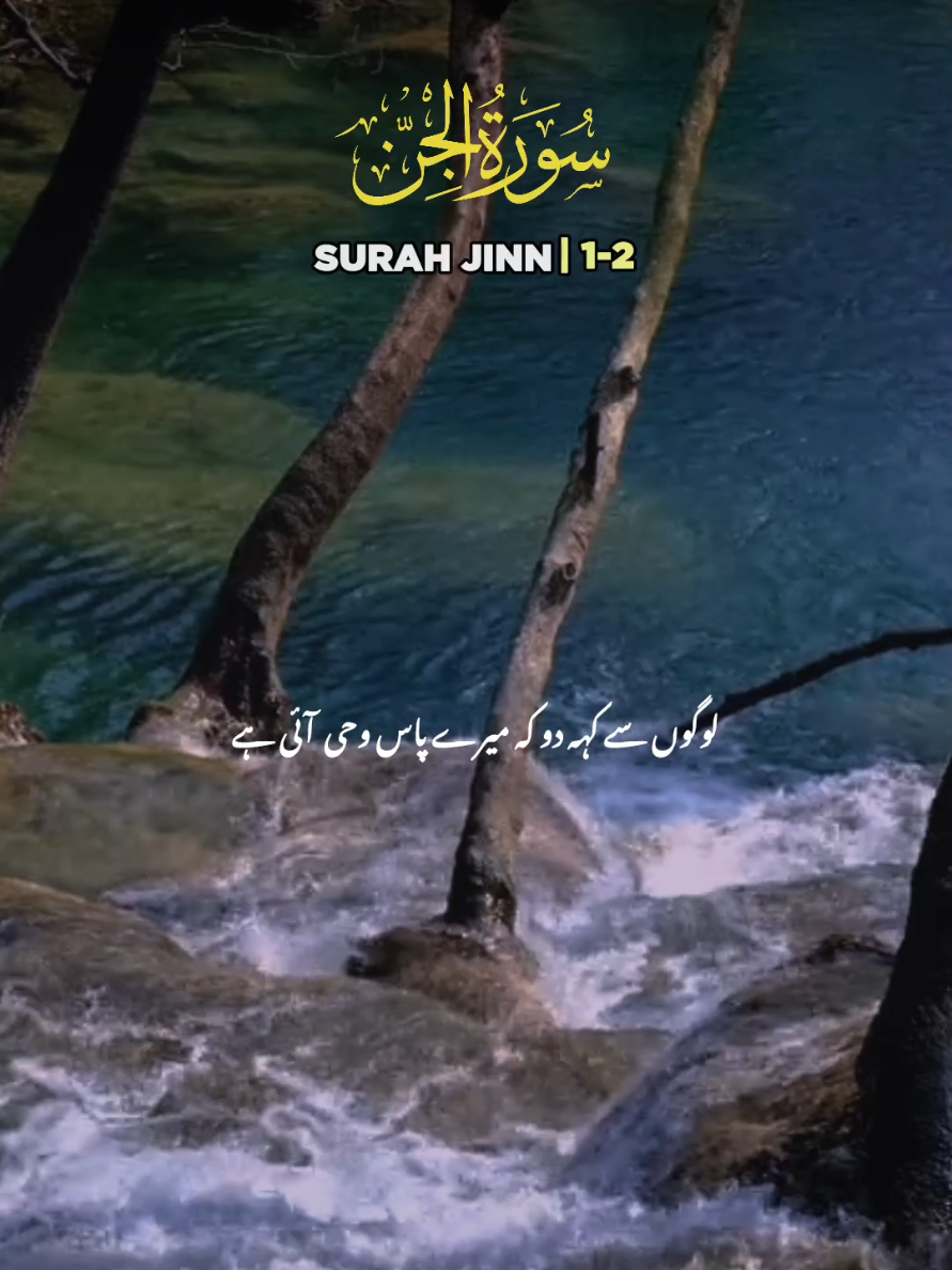 Surah Jinn With Emotional Urdu Tarjuma Verse (1-2) #islamicvideo #qurantilawat #urdutranslation #islamiccontent #jummahmubarak 