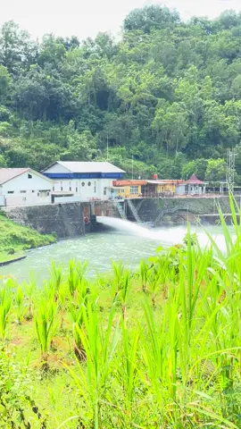 sapa sing wes pernah ming ngeneh?  Lok : Waduk Sempor, Kebumen #fyp #fypシ゚ #xybca #waduksempor #waduksemporgombong #kebumen #kebumen24jam #kebumenkeren #kebumenpride 