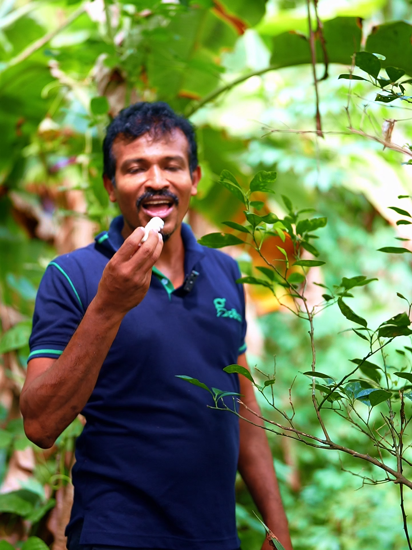 Forget Marshmallows… Calamansi Wins Every Time! 💪