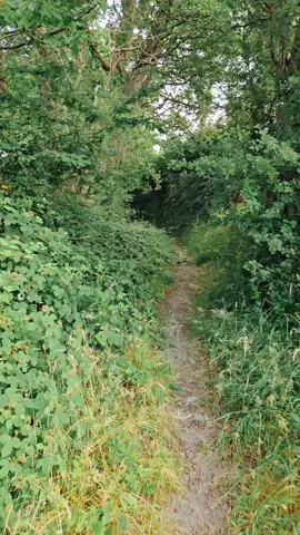 Day 5 ✅ – Friday Check-In Out again today, rain or shine! 🌦️ Still walking every day, aiming for 5,000 km in a year to support Builth Carnival 2026 🎪 📍Quick update from the road, few thoughts while the feet keep moving 👣 💷 Support here: [Insert GoFundMe link] #5000ForBuilthCarnival #JustAWalkOfLife #CarnivalSpirit #Day5 