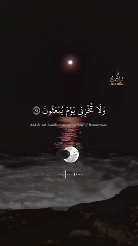 قران الكريم 