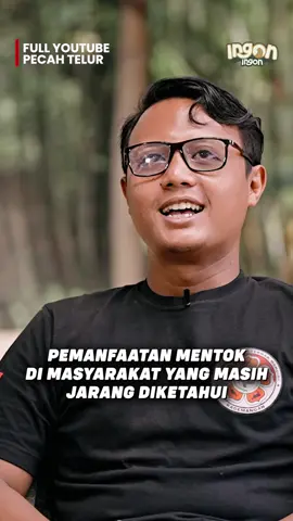 Ternak Entok Jumbo, Bisa Bayar Utang 800 Juta! Satu Ekor Laku 12 Juta