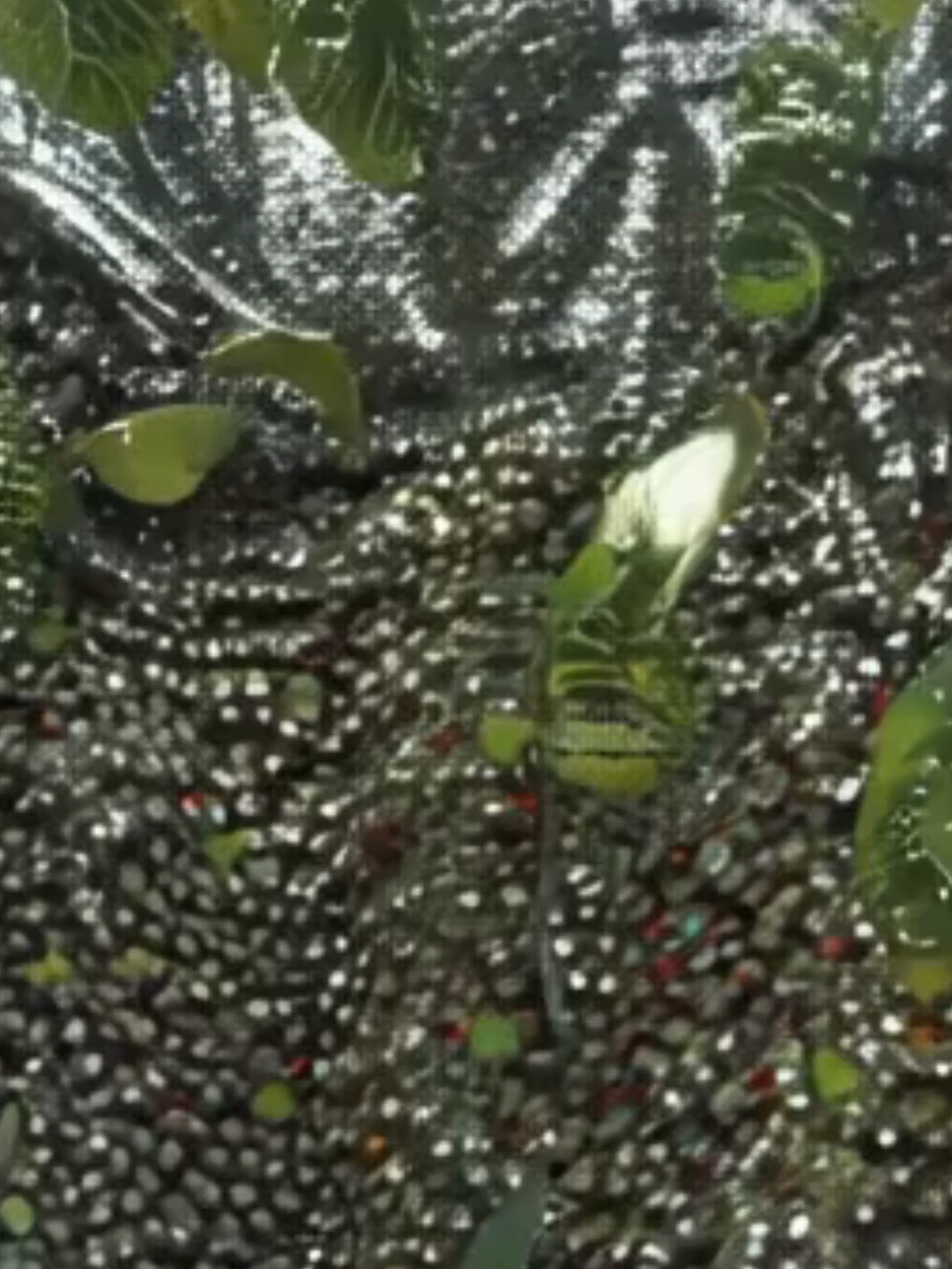 Black Pepper #Spices #Indonesia #Jakarta #Bali #Import #coffee #Pepper #blackpepper #indonesian spices
