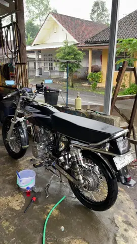 Pokok penak di sawang lak yo wes 🥰#gl_kcongyang #gl_kotak🤟 #glpromaxindonesia #glkotakgank🤙 #masukberandafyp 