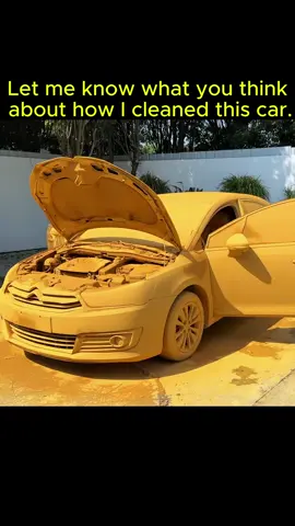 #washingcar #cleaningcar #asmr #viralvideo #viraltiktok 