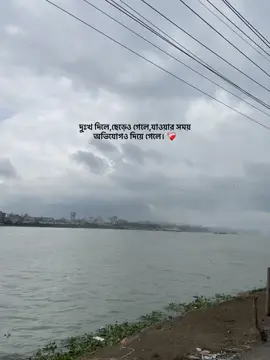 দুঃখ দিলে,ছেড়েও গেলে,যাওয়ার সময় অভিযোগও দিয়ে গেলে। ❤️‍🩹