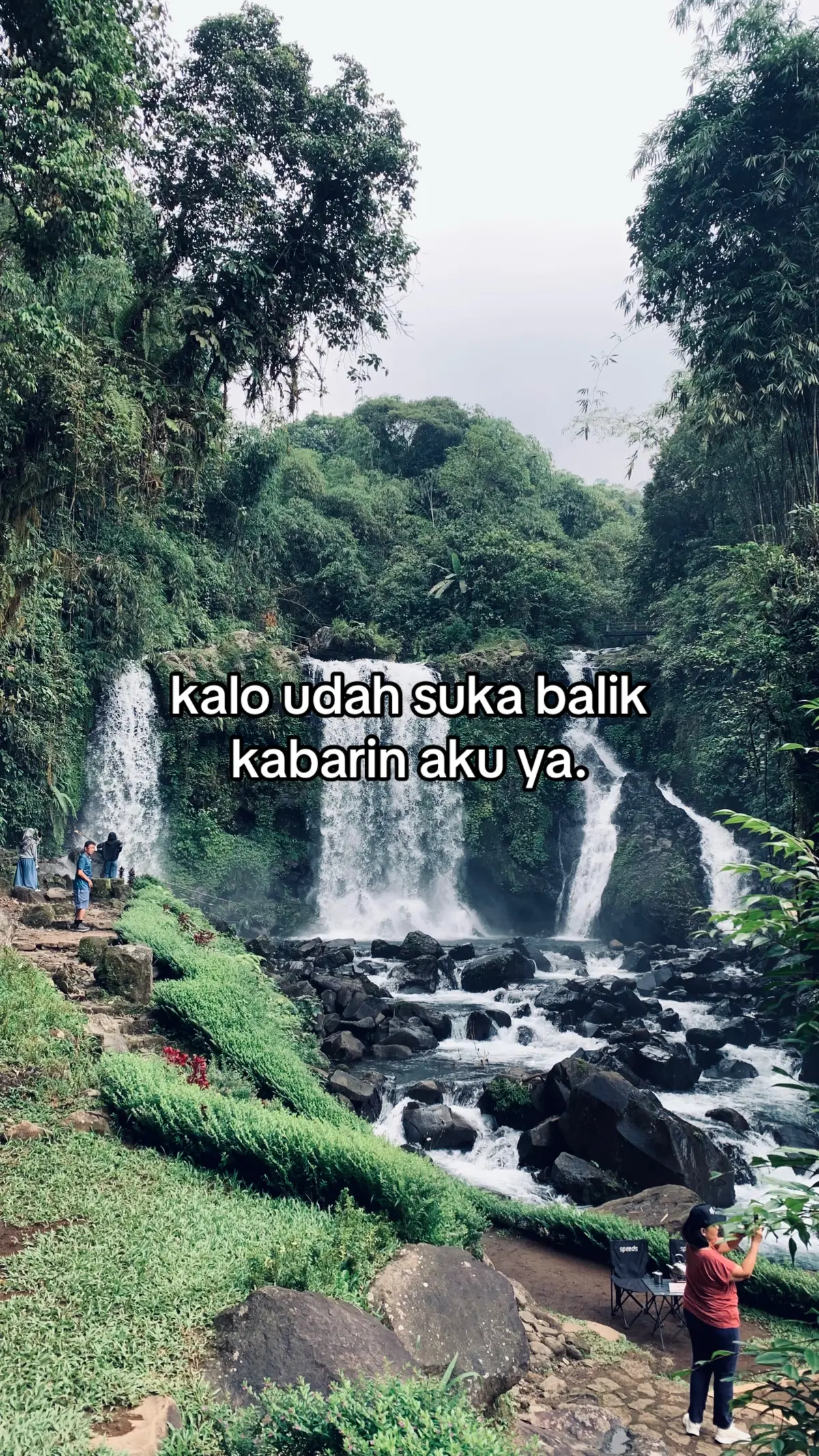 #quotes 