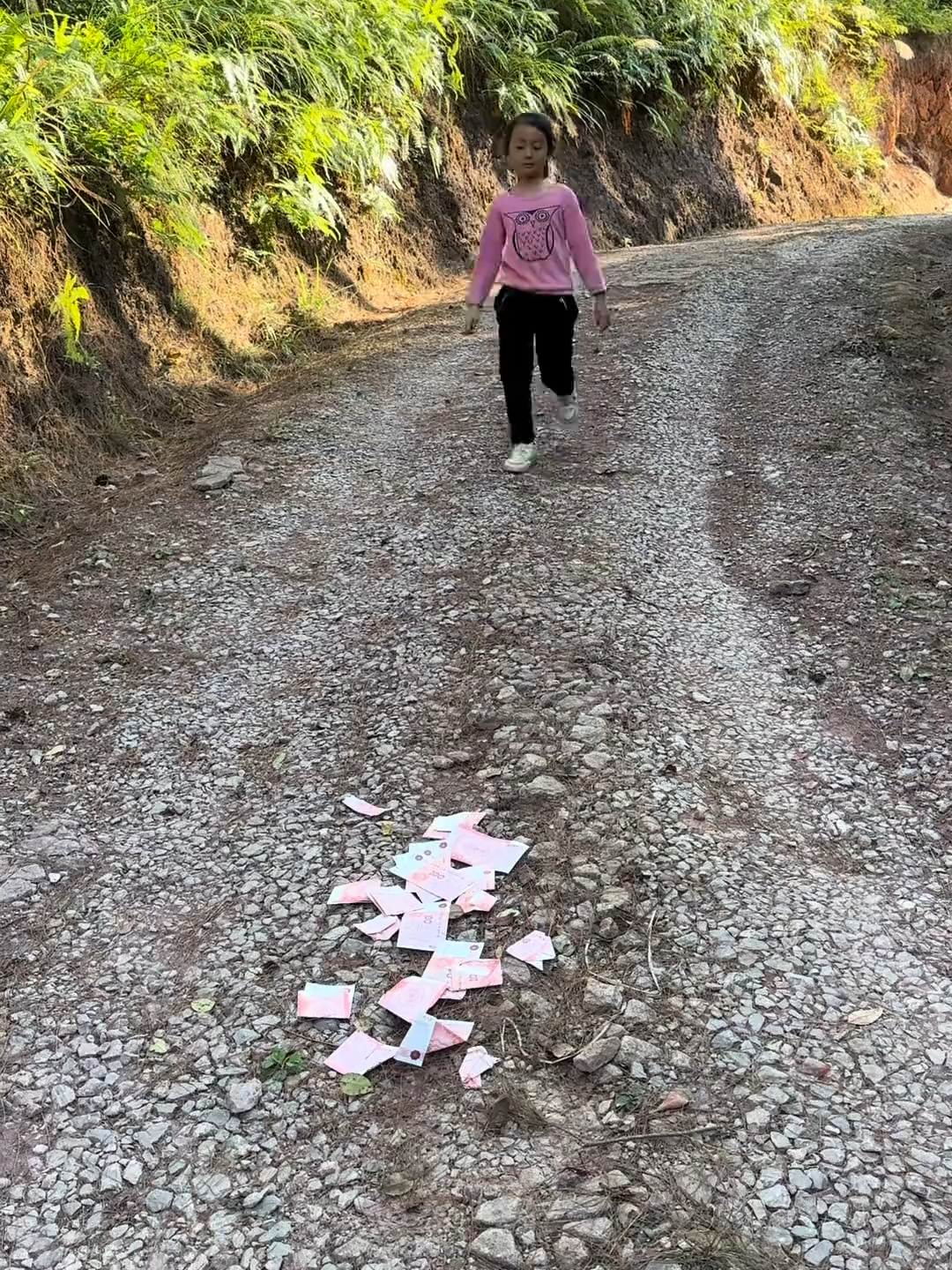 7452645816184868156严厉打击一切违法犯罪行为