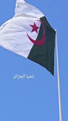 تحيا الجزائر 