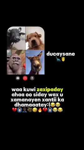 😂💔😭#fyyyyyyyyyyyyyyyy #fouryou #foryoupage❤️❤️ 