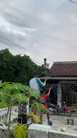 Nyore di rumah aja🙌🏻 . . . . . . #pelayangdesa #pdlocalkite #pdkitestore 