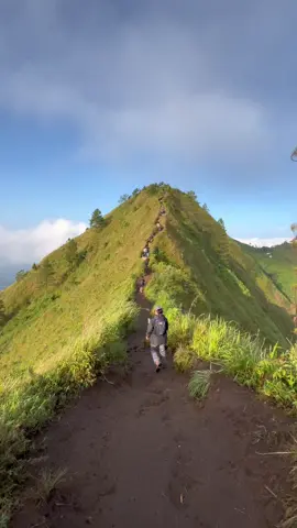 Jalur pendakian gunung andong via Pendem yang bikin candu 🍃🌿 #andongviapendem  #gunungandong  #gunungandongviapendem #naikgunung  #pendakigunung 