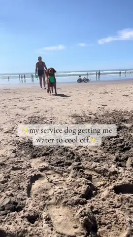 Dogs are good helpers 🙂#funnyvideo #foyou #dogsoftiktok #tiktok #dog #usa🇺🇸 