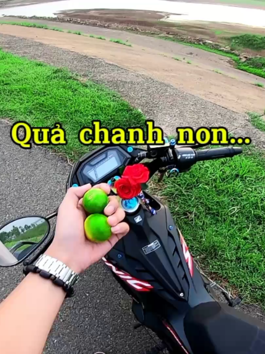 Mối tình đầu... #nhactamtrang #nhacquaytiktok #nhacbuontamtrang #Vinhloclamtho #xuhuong #xuhuongtiktok 