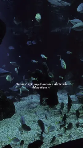 #fyppppppppppppppppppppppp #เธรด 