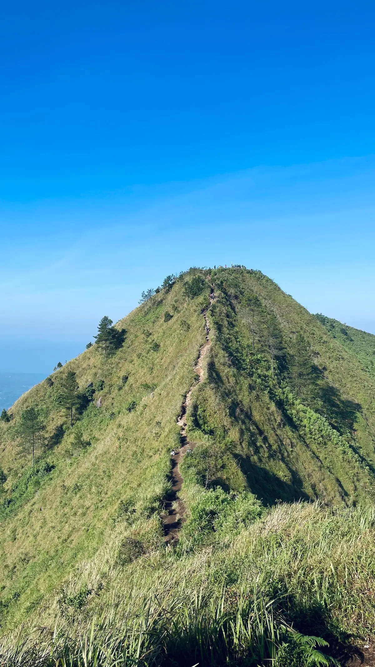 short escape⛰️ #andongviapendem #gunungandong #gunungandong1726mdpl #fouryoupage #andong #magelang 