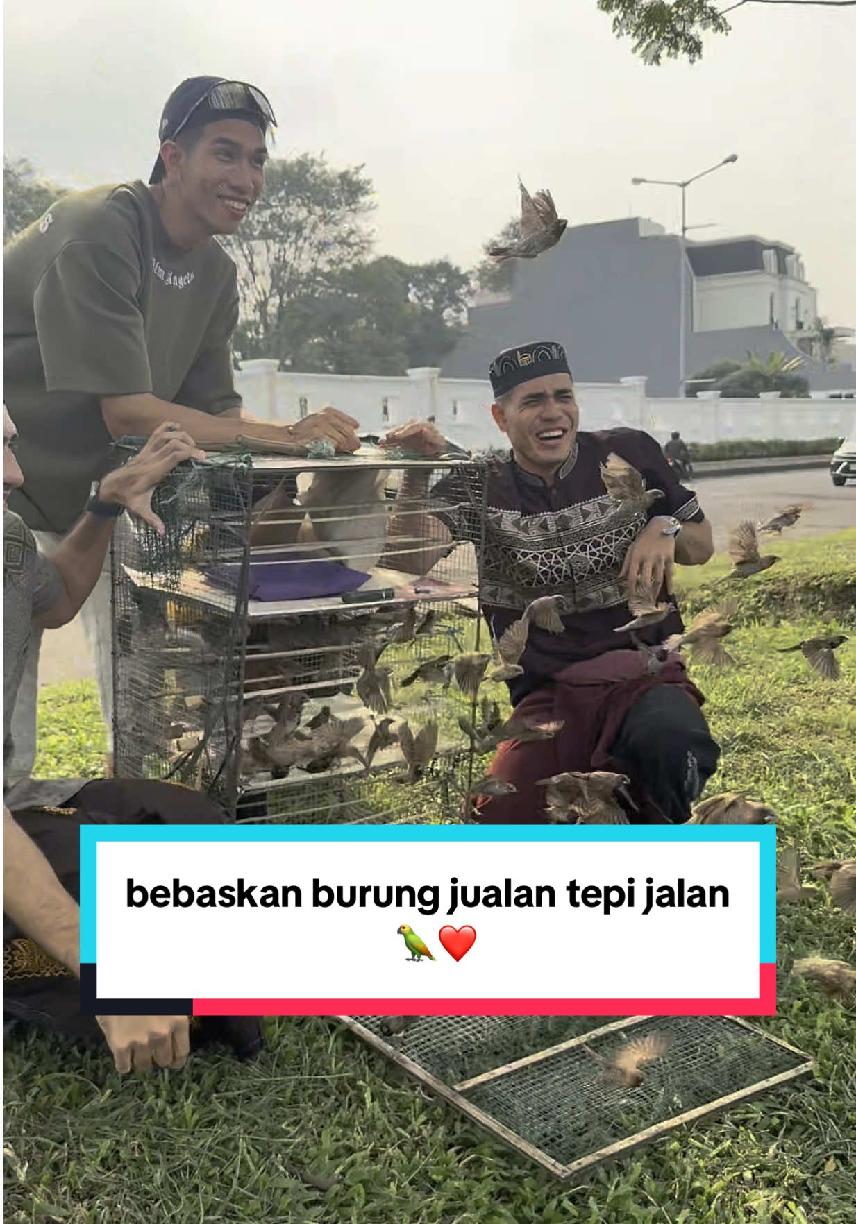 manusia ataupon haiwan harus disayangi ,  #jualan #aisarkhaledd #aisarsultanmalaysia #burung 