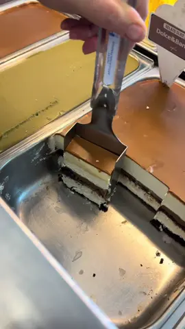 Discover the ultimate indulgence with our handcrafted gelato slices! 🍰✨ #cake #slice #gelato #perfection #followme #ig #page #eatalio 