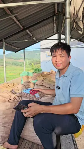 Sự thật góc khuất phí sau quả vải thiều sấy Bắc Giang.. #sanvlog #vaisaykho 