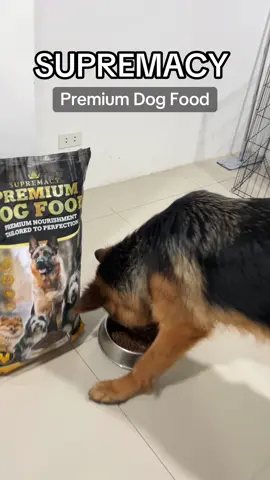 Chicken & Salmon flavor| 10KG for only ₱1,300✅ #dogfood #dog ##supremacy #premium #dogfood #foryou #fypage 