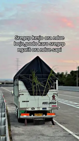 #bialyrawit🌶️ #herexlamongan #lamongangayabebas #satriawibawa99 #supirbukankriminal 