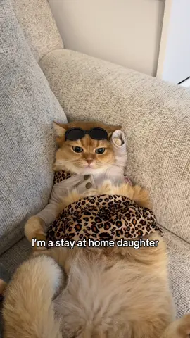 What a good life as stay at home daughter 