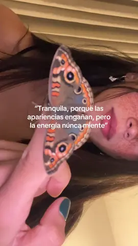 Se quedó un par de horas 🤎  #fyp #paratii #mariposa 