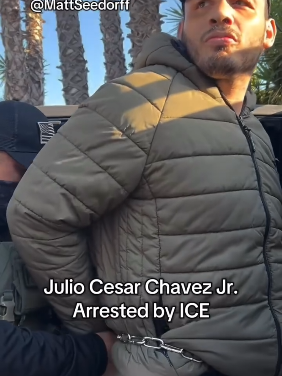 iCE arrests boxer Julio Cesar Chavez #juliocesarchavez #ice 