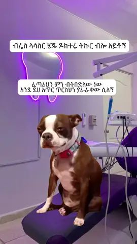 የጀላዬ በደል አልበቃ ብሎ😭#🤣🤣🤣 #asmamachew_memes #ethiopian_tik_tok🇪🇹🇪🇹🇪🇹🇪🇹 #memecut #ethiomeme #relatable 