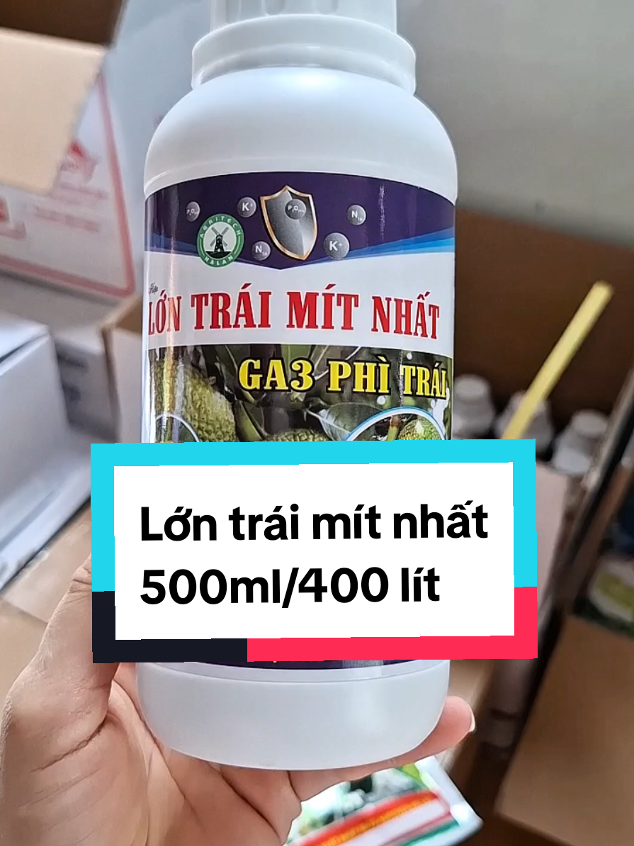 Lớn trái mít nhất 500ml #cuahangvtnnminhkhoi #lontraimit #lontraimitnhat #mitthai 