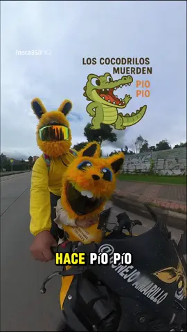 El Pollito Disfrazado de Cocodrilo. Cantando Canciones con 3 Años. #conejoamarillooficcial #biker #motos #fundaspersonalizadas #intercomunicadores #padrehija #canciones #niños 
