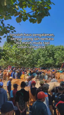 💪🔥#sobatngaret #pengusahamuda #blantiksapi #pasar #sapi #monster #fypシ 