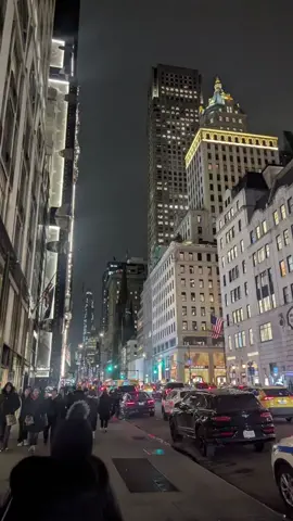 #newyork #city #usa #song #ilovenyc #nyc #pictures #tik_tok #Summer #winter #nigth #morning #country #plsfyp #pls #fyp 