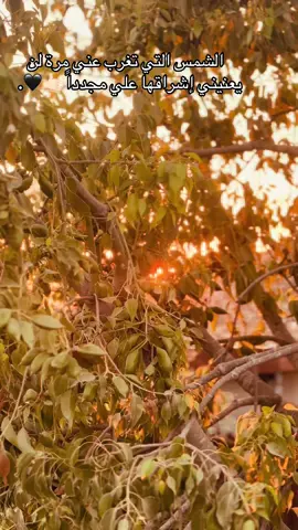 #تصوير❤️📸 #فوتوشب #❤️ #فوتوغرافي #❤️ #فوتو_سيشن #❤️ #عبود #مصور_فلسطيني🇵🇸 #ديرجرير_قلعة_برجالها #💪🏻🔥 #دير_دبوان_رمون_ديرجرير_كفرمالك_بيتين #مسعف #🚑 #مصور #📸📸📸 #خيل_وخياله🐎 #foryou #foryoupage #🔥 