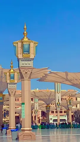 Madinah #Alhamdulillah #islamic #madinah #muhammad #makkah 