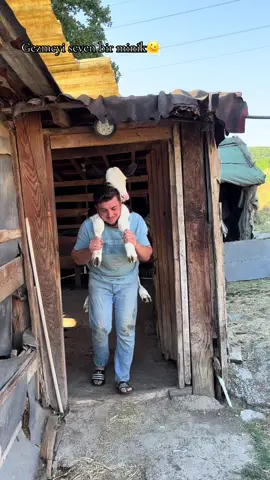 #hayvancılık #buzağı #öneçıkartbeni #çiftçi#keşfet#keşfetteyizzz 😁🫠