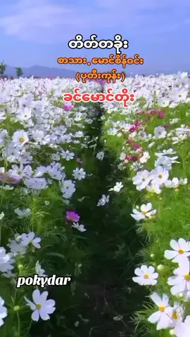 #ခင်မောင်တိုး#တိတ်တခိုး#သီချင်းလေးကြားပြီး #ဘဝအမောများပြေကြပါစေ #ဖြူစင်သောစိတ်ဖြင့်မေတ္တာထားနိုင်ကြပါစေ🙏 #အားပေးတဲ့တစ်ယောက်ချင်းစီတိုင်းကျေးဇူးပါ #အားလုံးကိုချစ်ခင်လေးစားစွာဖြင့် #💕💕💕💕💕💕💕 