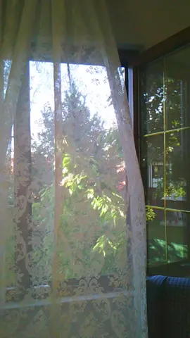 Fresh air. That's all you need to feel better about life. #fyp 