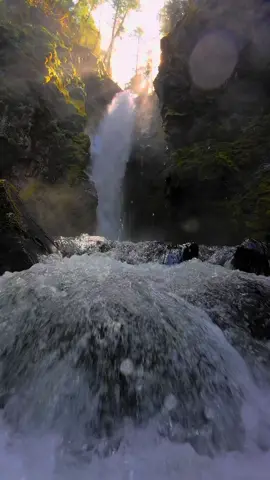 Looking up over a rushing creek towards a waterfall twisting and crashing down a narrow alcove into the canyon below. The golden sun beams through the trees above, casting light across the mist and mossy rock walls. It’s a wild, powerful, and awe-inspiring moment deep in the forest 😍