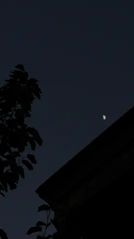 Sufjan Stevens – Fourth of July #fourth #of #july #sufjanstevens #fourthofjuly #nukliuz #fyp #azerbaijan 