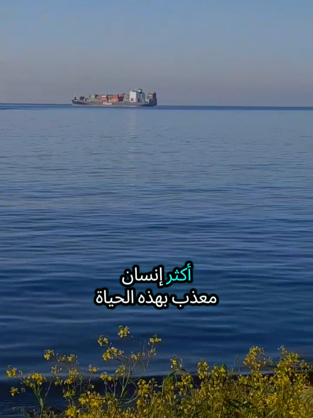 المغترب أكثر إنسان معذب بهذه الحياة المغترب عايش بسجن بإختصار عايش بسجن سجن كله هموم كله أحزان كله تعب كله مشقة هذا هو المغترب #تركيا #اسطنبول #الغربة #مغترب #شعروقصايد 