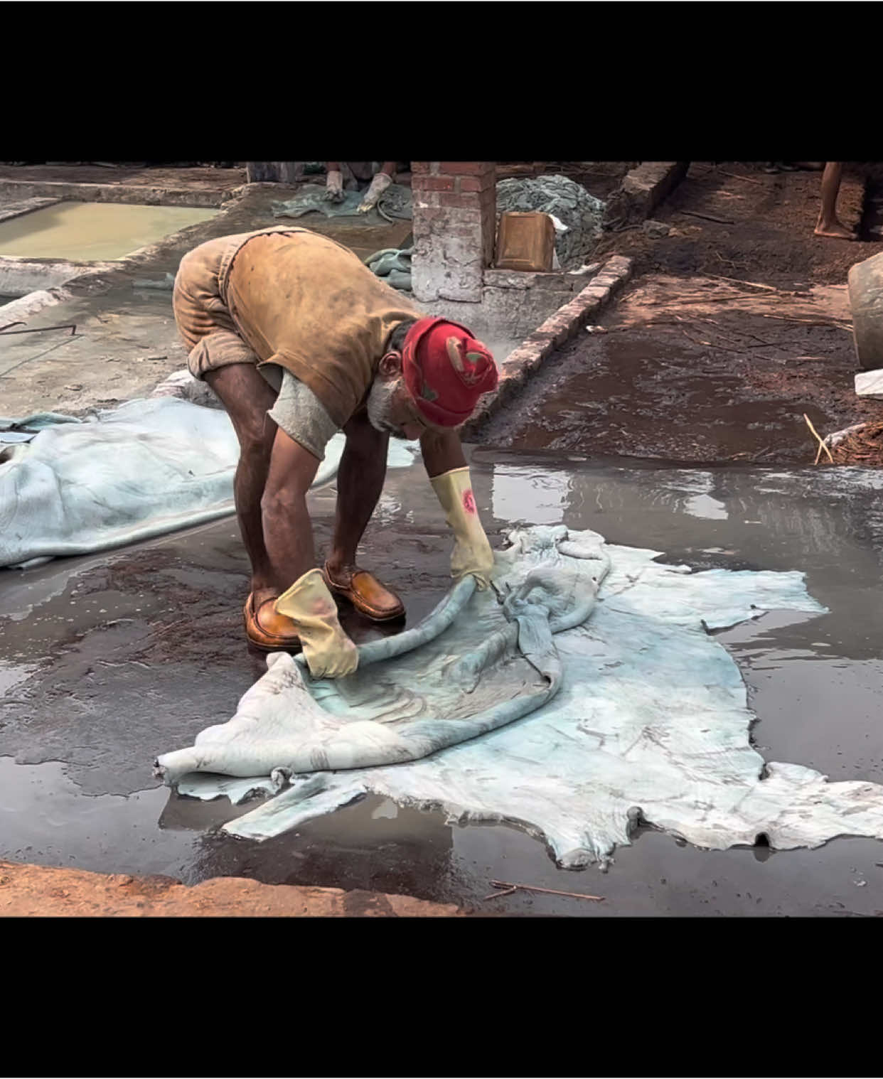 Amazing Process Of Buffalo Skin Hide Turn Into High Quality Leather  #leather #making #manufacturing  #leathercraft #buffalohide #animals #skinleather #fypシ #foryoupage 